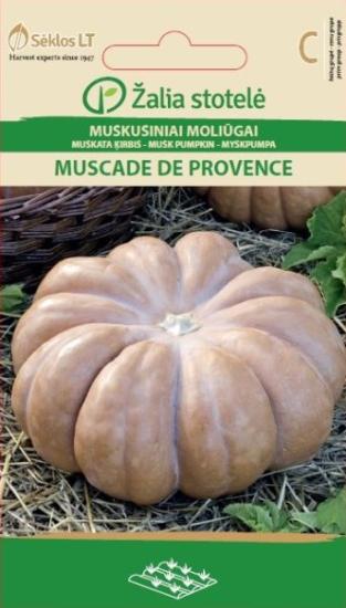 Prekės „Sėklos muskusinių moliūgų MUSCADE DE PROVENCE Žalia stotelė“ paveikslėlis