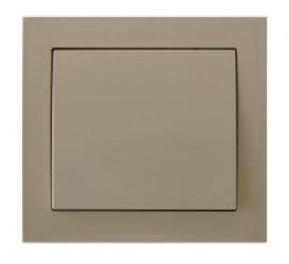 Prekės „Jungiklis 1 klavišo potinkinis KIER smėlio spalvos LP-1W/01“ paveikslėlis