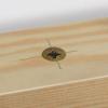Prekės „Gilintuvas medžiui 3 - 8 mm WS Wolfcraft 2546000“ paveikslėlis