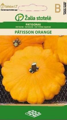 Prekės „Sėklos patisonų ORANGE Žalia stotelė“ paveikslėlis