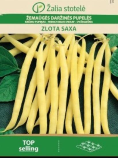 Prekės „Sėklos pupelių žemaūgių Zlota Saxa“ paveikslėlis