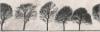 Prekės „CERSANIT Plytelių keraminis dekoras WILLOW SKY INSERTO TREE 29 x 89 cm“ paveikslėlis