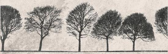 Prekės „CERSANIT Plytelių keraminis dekoras WILLOW SKY INSERTO TREE 29 x 89 cm“ paveikslėlis