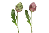 Prekės nuotrauka Gėlė dekoratyvinė 47 cm Artichoke 4Living