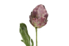 Prekės nuotrauka Gėlė dekoratyvinė 47 cm Artichoke 4Living