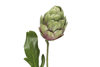Prekės nuotrauka Gėlė dekoratyvinė 47 cm Artichoke 4Living