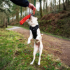 Prekės nuotrauka Šunų žaislas Mountain Paws Braided Chew Rope Dog Toy
