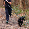 Prekės nuotrauka Šunų pavadėlis Mountain Paws Shock Absorber Dog Lead - Juoda