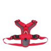 Prekės nuotrauka Šunų apraišai Mountain Paws Dog Harness - Raudona, L