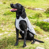 Prekės nuotrauka Lietpaltis šunims Mountain Paws Fleece Lined Dog Raincoat - Pilka, M