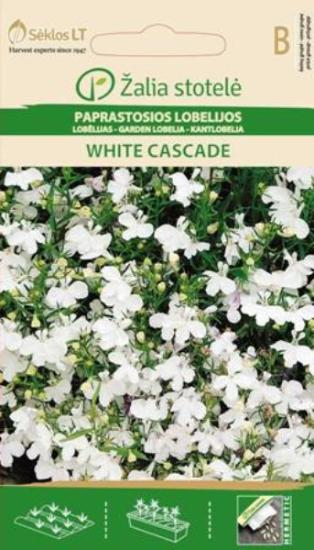 Prekės „Paprastųjų lobelijų sėklos WHITE CASCADE Žalia stotelė“ paveikslėlis