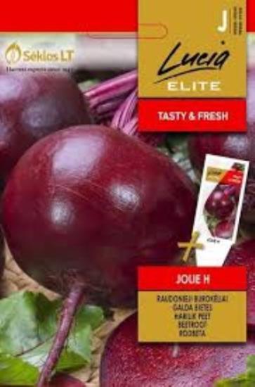 Prekės „Raudonųjų burokėlių sėklos JOLIE H Lucia ELITE“ paveikslėlis