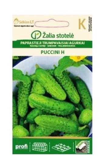Prekės „Sėklos agurkai paprastieji  PUCCINI H“ paveikslėlis