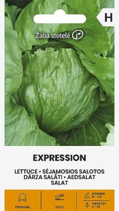 Prekės „Sėjamųjų salotų sėklos EXPRESSION“ paveikslėlis