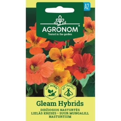 Prekės „Didžiųjų nasturčių sėklos GLEAM HYBRIDS Agronom“ paveikslėlis