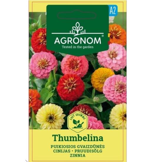 Prekės „Puikiosios gvaizdūnės sėklos THUMBELINA Agronom“ paveikslėlis