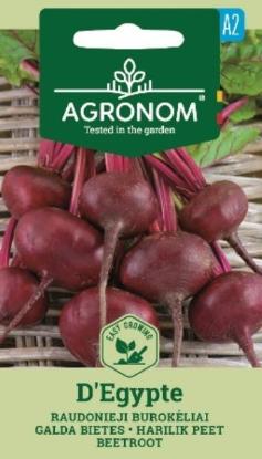 Prekės „Burokėlių sėklos D"EGYPTE Agronom“ paveikslėlis
