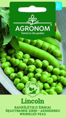 Prekės „Raukšlėtųjų žirnių sėklos LINKOLN Agronom“ paveikslėlis