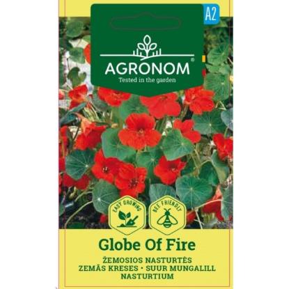Prekės „Žemųjų nasturčių sėklos GLOBE OF FIRE Agronom“ paveikslėlis