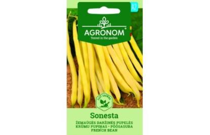 Prekės „Sėklos žemaūgių daržinių pupelių SONESTA Agronom“ paveikslėlis