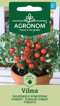 Prekės „Sėklos pomidorų VILMA Agronom“ paveikslėlis