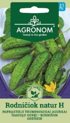 Prekės „Sėklos agurkų RODNIČIOK NATUR H  AGRONOM“ paveikslėlis