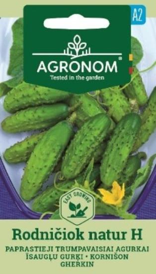 Prekės „Sėklos agurkų RODNIČIOK NATUR H  AGRONOM“ paveikslėlis