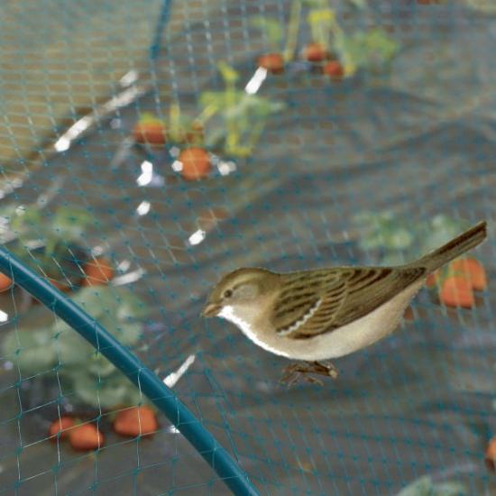 Prekės „Tinklas nuo paukščių 4 x 10 m Nort Birdnet“ paveikslėlis