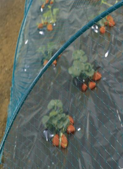 Prekės „Tinklas nuo paukščių 4 x 10 m Nort Birdnet“ paveikslėlis