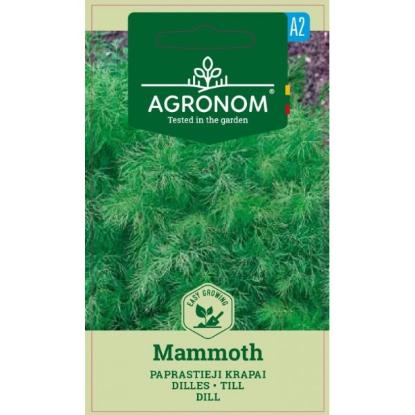 Prekės „Sėklos krapai paprastieji MAMMOTH Agronom“ paveikslėlis