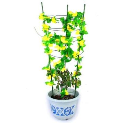 Prekės „Atrama gėlėms ø 22 - 28 cm  aukštis 90 cm“ paveikslėlis