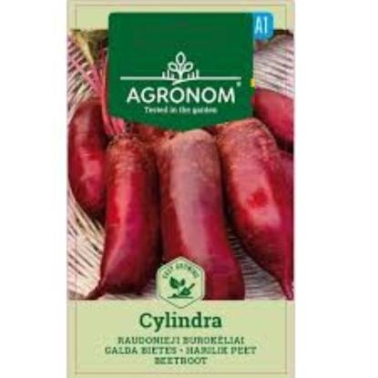 Prekės „Sėklos raudonųjų burokėlių CYLINDRA Agronom“ paveikslėlis