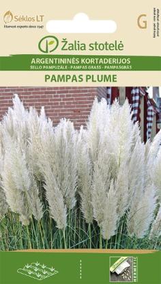 Prekės „Sėklos Argentininės kortaderijos PAMPAS PLUME 0,2g“ paveikslėlis