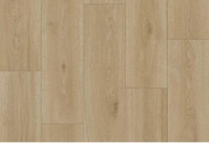 Prekės „Linoleumas - PVC grindų danga EVOLUTION MAISON-6 3 m“ paveikslėlis