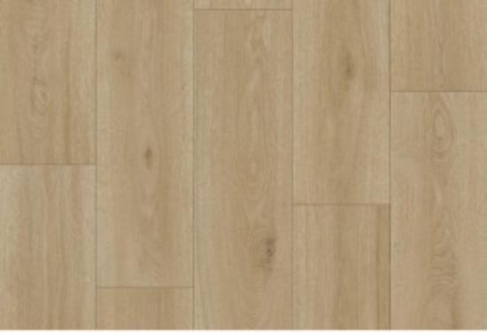 Prekės „Linoleumas - PVC grindų danga EVOLUTION MAISON-6 3 m“ paveikslėlis