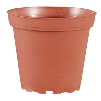 Prekės „Daigykla plastikinė terakota 23cm 5l“ paveikslėlis