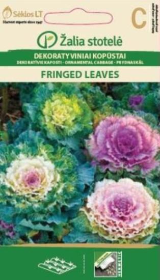 Prekės „Sėklos kopūstai dekoratyviniai FRINGED LEAVES Žalia stotelė“ paveikslėlis