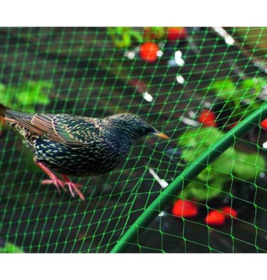 Prekės „Tinklas nuo paukščių 8mx10m Nort Birdnet“ paveikslėlis