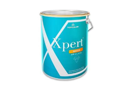 Prekės „Dažai dispersiniai TOPCOLOR Xpert Matix 5 l“ paveikslėlis
