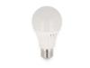Prekės „Lempa LED E27 13W A65 2700K 1300lm LEDline“ paveikslėlis