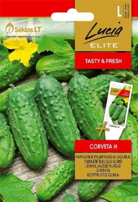 Prekės „Sėklos agurkų CORVETA H Lucia ELITE“ paveikslėlis