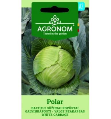 Prekės „Sėklos Kopūstų Polar“ paveikslėlis