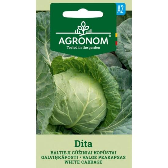 Prekės „Sėklos baltųjų gūžinių kopūstų DITA Agronom“ paveikslėlis