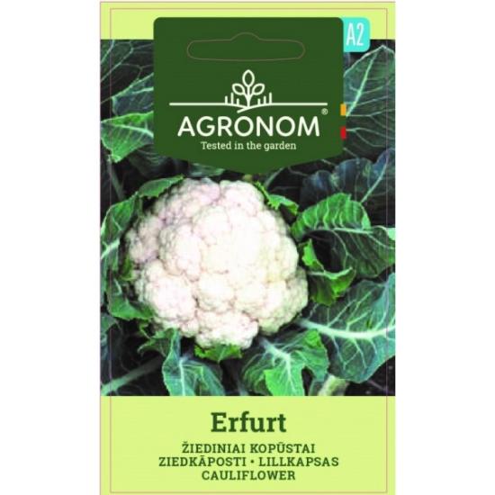 Prekės „Sėklos žiedinių kopūstų ERFURT Agronom“ paveikslėlis