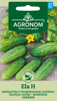Prekės „Agurkų sėklos ELA H AGRONOM“ paveikslėlis