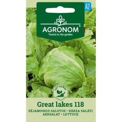 Prekės „Sėjamos salotų sėklos GREAT LAKES 118 Agronom“ paveikslėlis