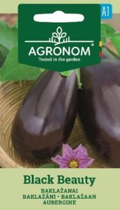 Prekės „Sėklos baklažanų BLACK BEAUTY Agronom“ paveikslėlis