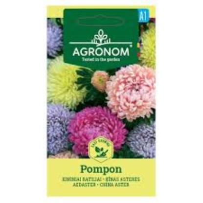 Prekės „Sėklos ratiliai Kininiai POMPON mix Agronom“ paveikslėlis