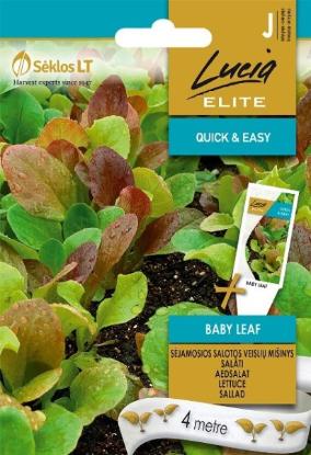 Prekės „Sėklos salotos sėjamosios BABY LEAF Lucia ELITE“ paveikslėlis