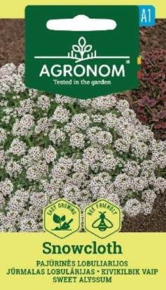 Prekės „Sėklos lobuliarijos pajūrinės SNOWCLOTH Agronom“ paveikslėlis